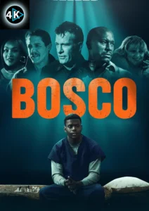 4K IPTV Watch Bosco in Stunning 4K IPTV